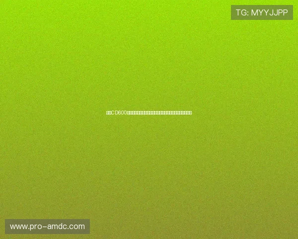 皇冠CD600在世界杯期间的表现分析：助力运动员发挥的关键设备介绍